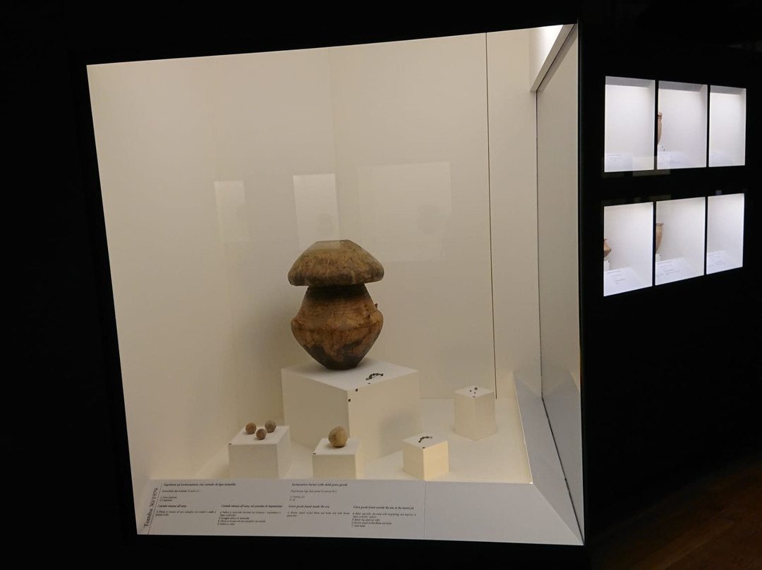 Museo Archeologico Nazionale di Fratta Polesine-Fratta Polesine必去景点