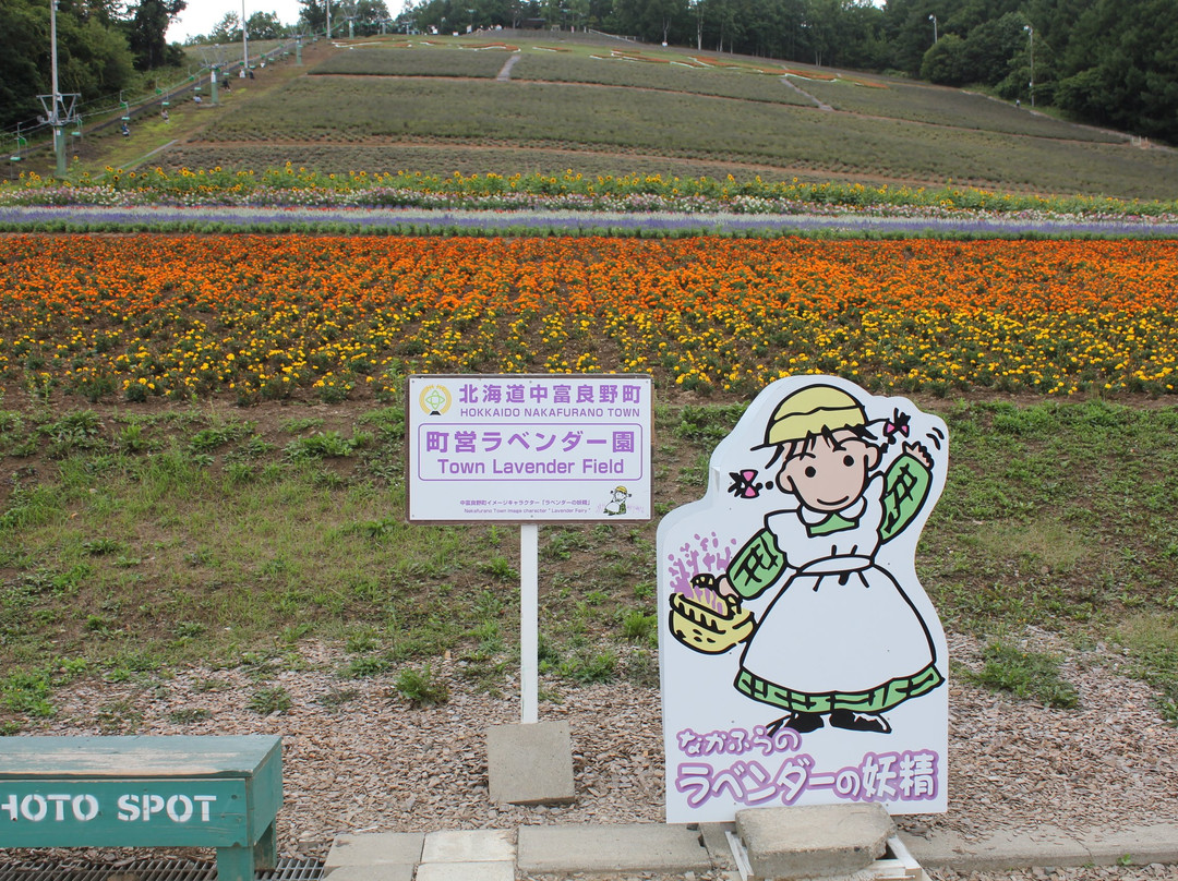 富良野町营薰衣草园-中富良野町必去景点