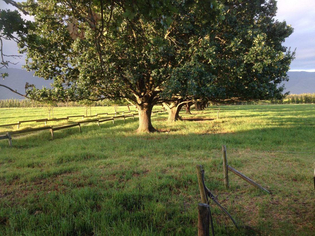 Rotterdam Estates主图