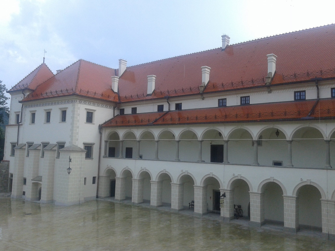 Muzeum Miejskie Suchej Beskidzkiej景点图片