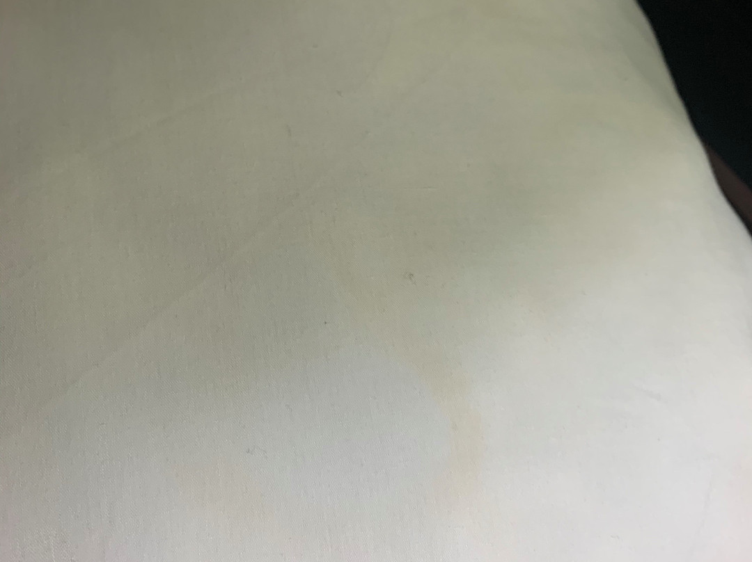 The Freeport Hotel, Ascend Hotel Collection主图