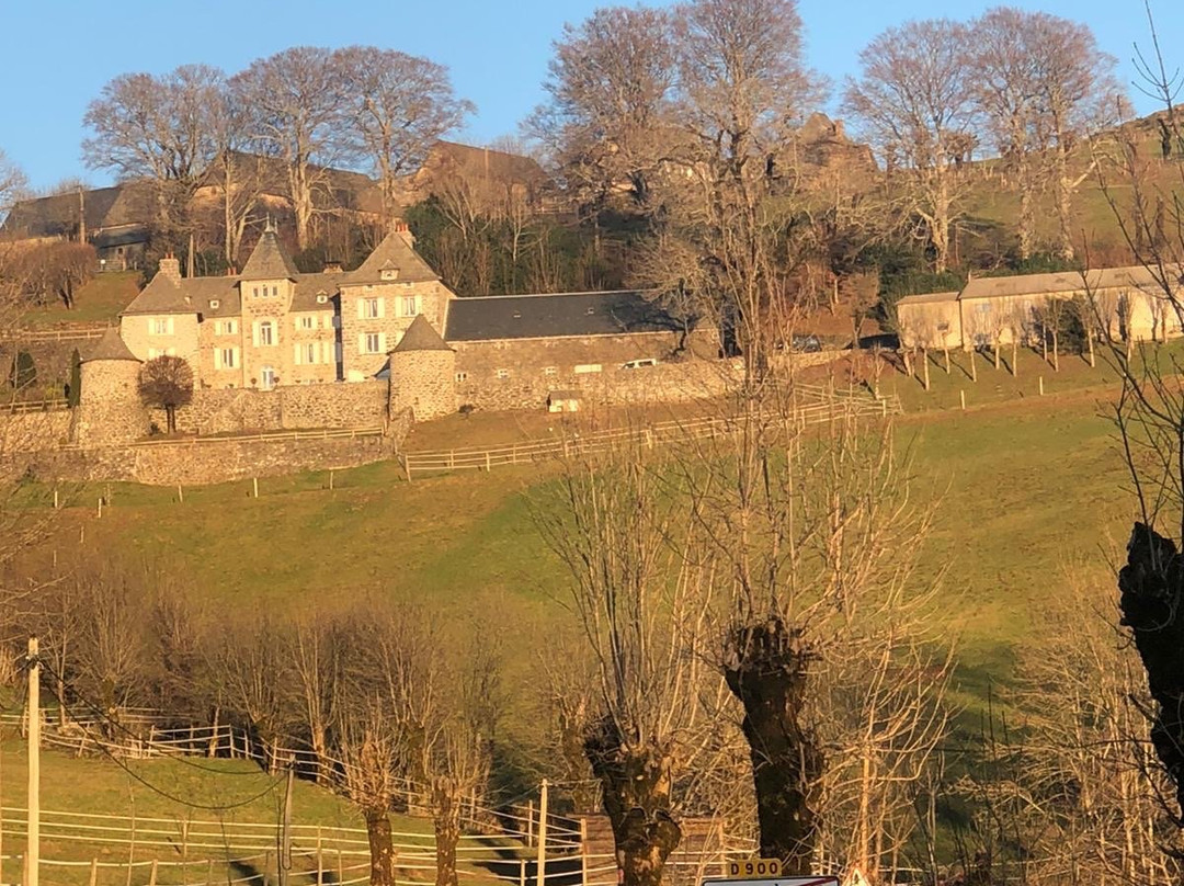 Château du Puech主图