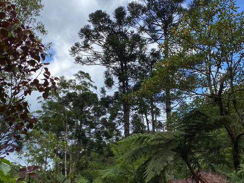 希图达斯阿斯特拉配雅思旅馆主图