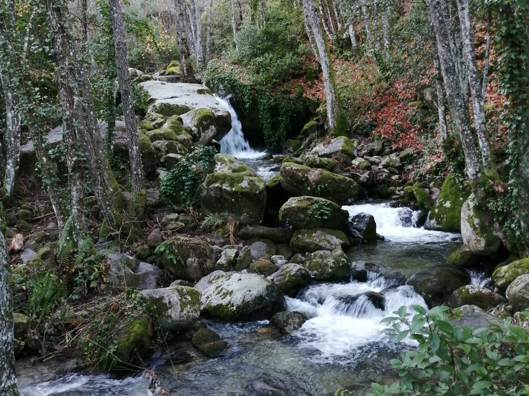 Camino del Agua景点图片