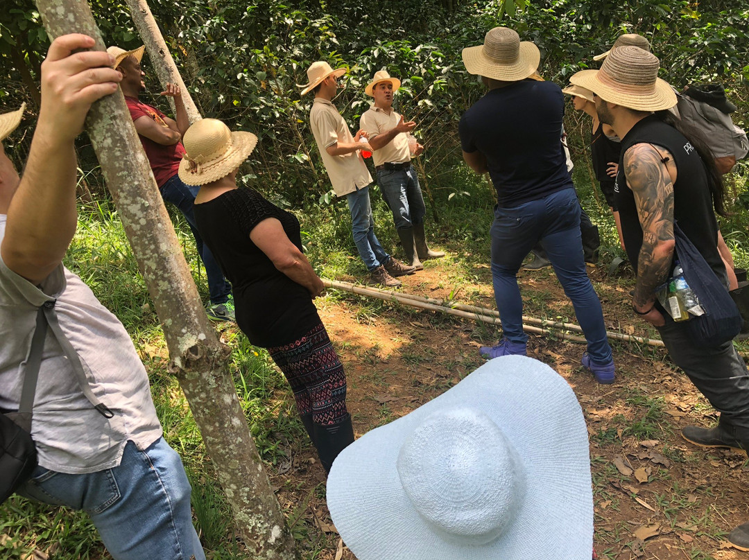 Colombia Coffee Tour-麦德林必去景点