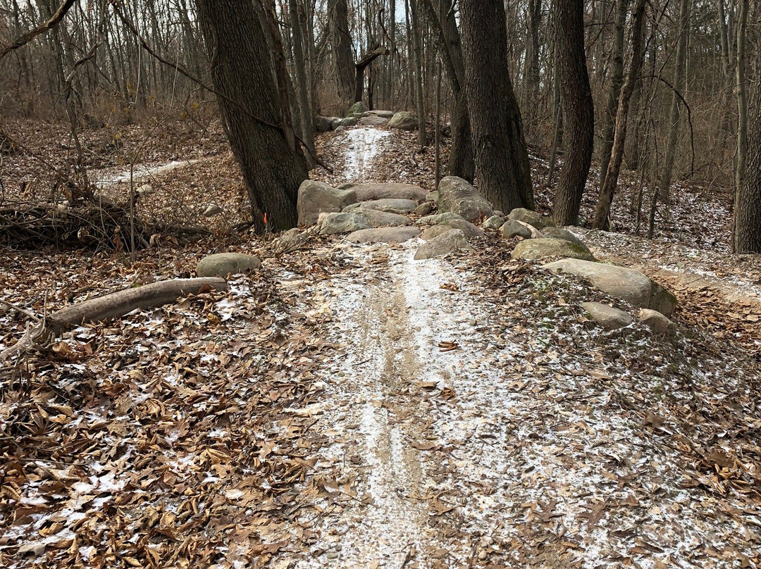 DTE Energy Foundation Trail-Chelsea必去景点