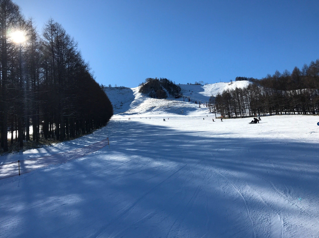 Shirakaba 2in1 Ski Area-立科町必去景点
