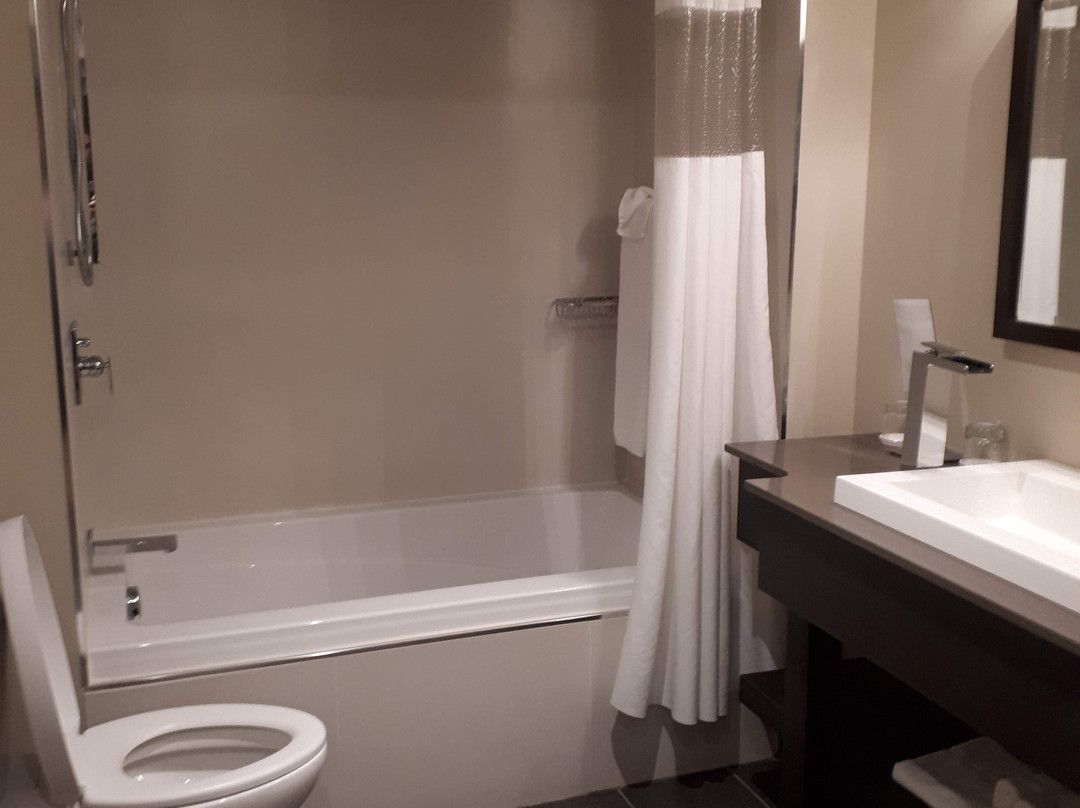 Hôtel Levesque主图