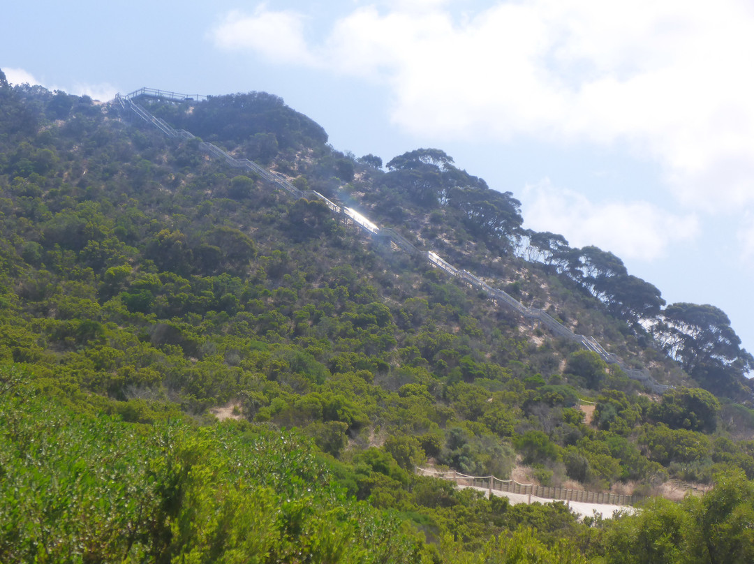 Prospect Hill景点图片