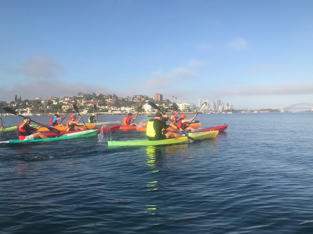 Rose Bay Aquatic Hire-Rose Bay必去景点