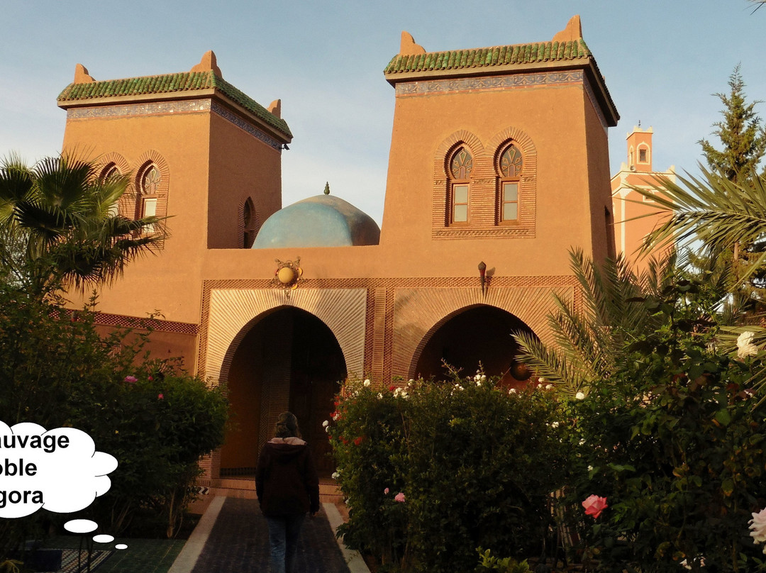 Le Sauvage Noble主图