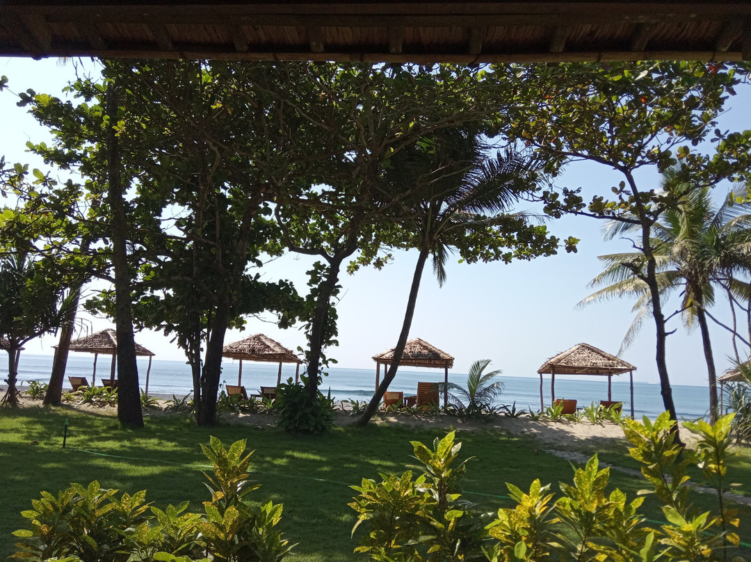 The Palm Beach Resort主图