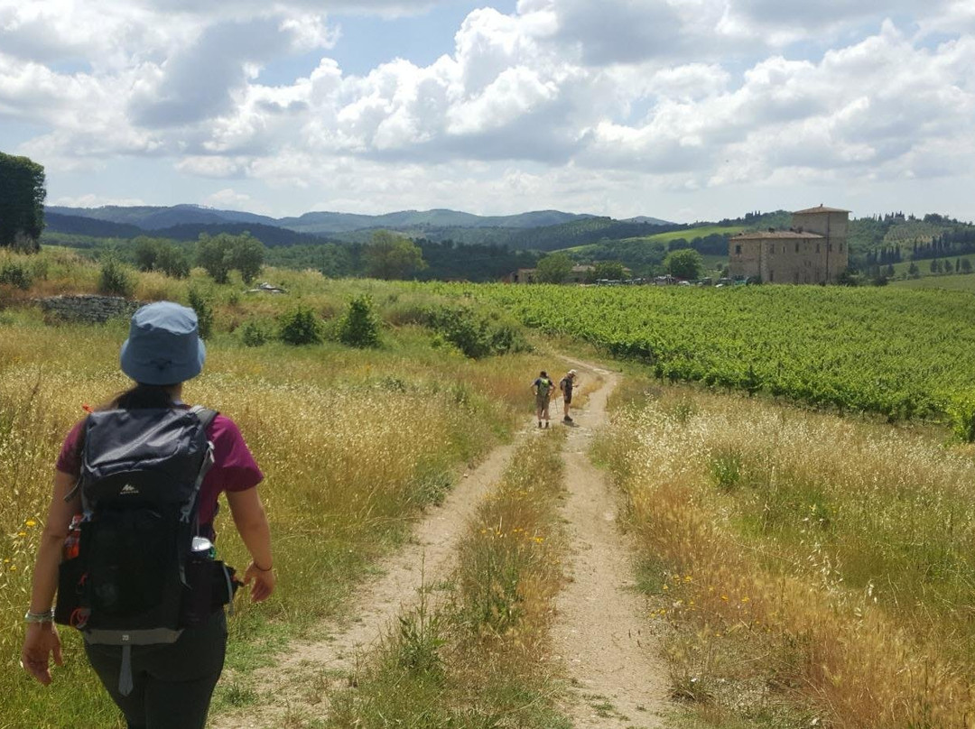 Vademecum Tours - Guided hiking in Tuscany景点图片
