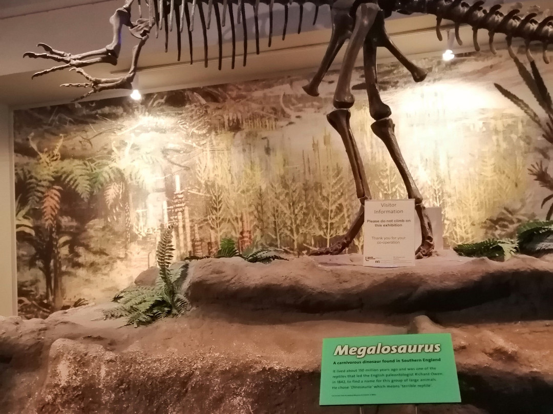 世界博物馆-利物浦必去景点