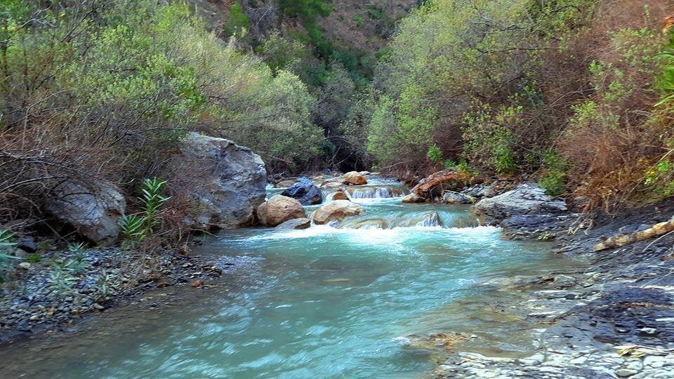 Gorges de la Chiffa景点图片