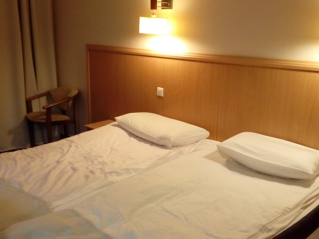 Ambasador Hotel Chojny主图
