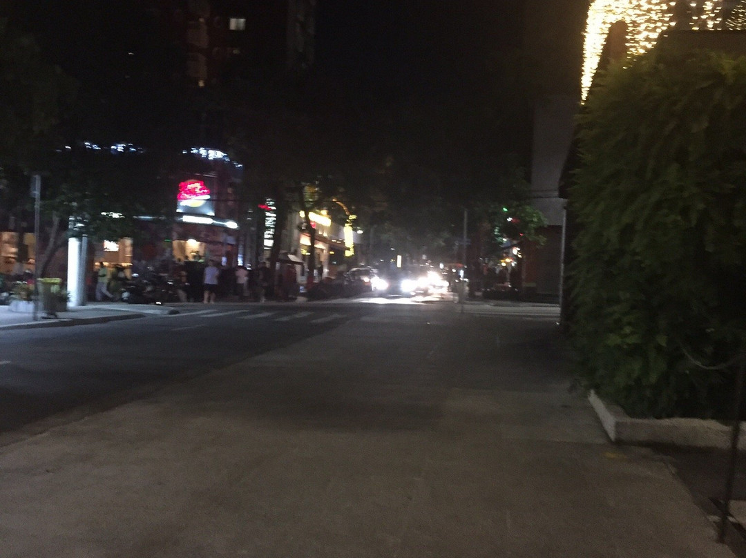 Rua Oscar Freire Shopping Street-圣保罗必去景点