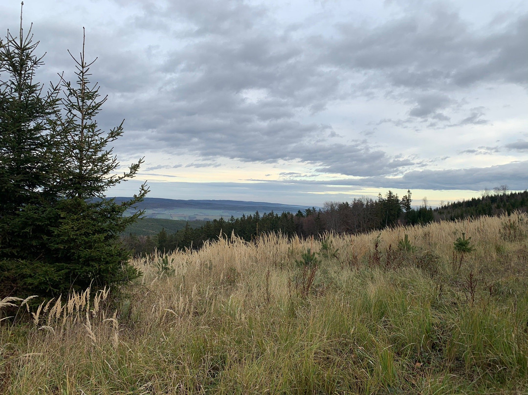 Naturpark Landseer Berge-Oberpullendorf必去景点