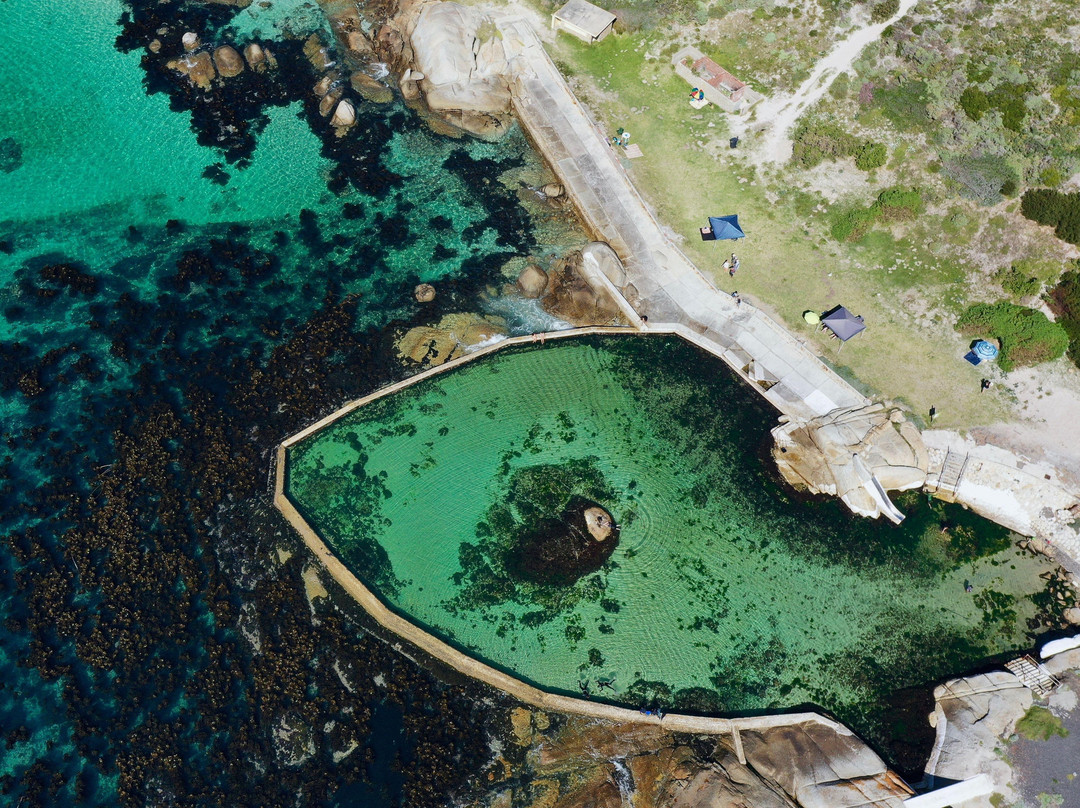 Yvette Oosthuizen - Wild Blue Adventures Cape Town景点图片