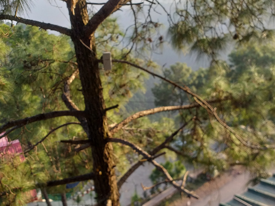 温妮假日酒店主图