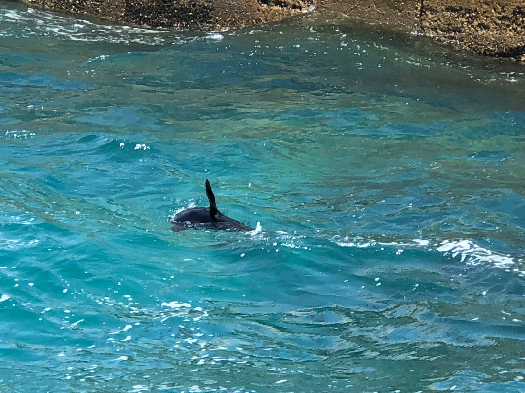 湖滨汽车旅馆及别墅主图