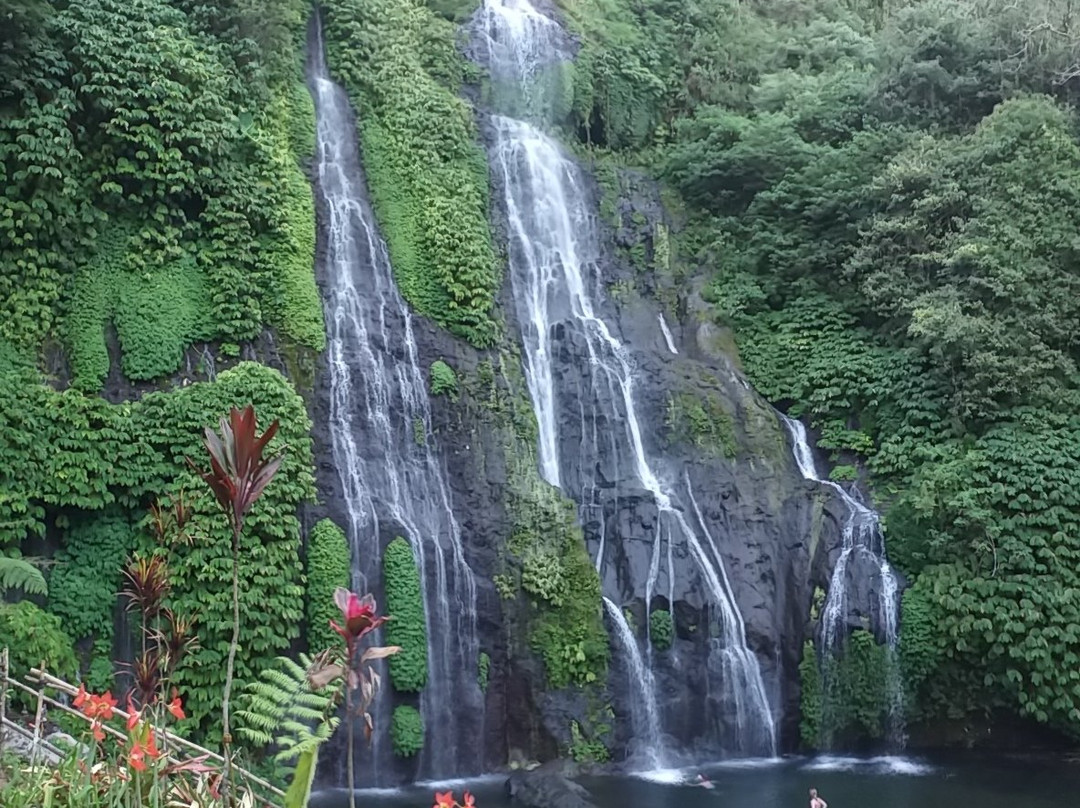 Banyumala Twin Waterfalls景点图片