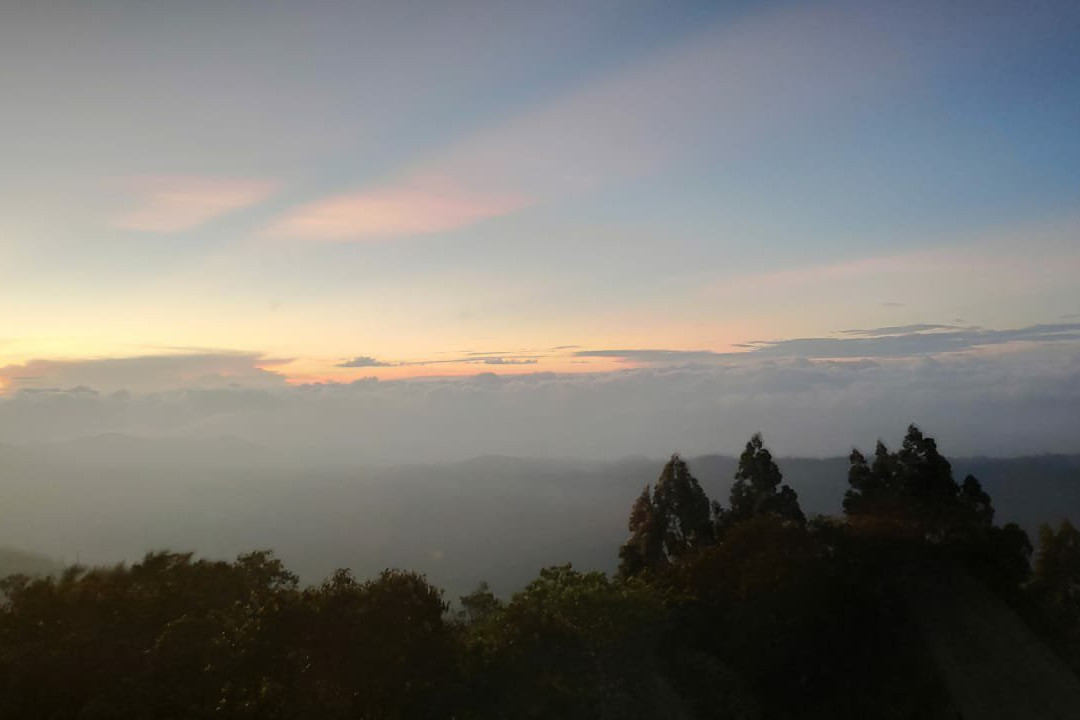 The Club Munnar主图