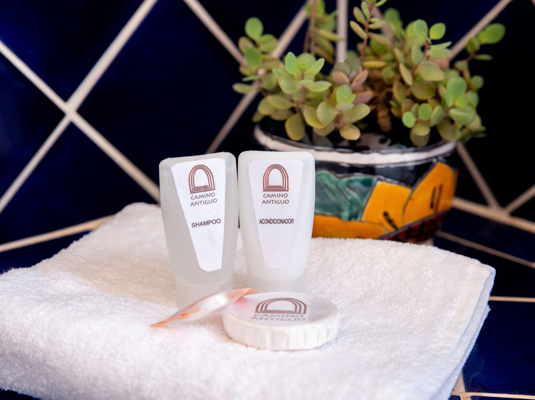 Hotel Camino Antiguo主图