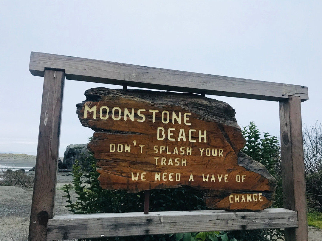 Moonstone Beach景点图片