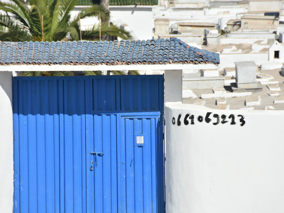 Jewish Cemetery of El Jadida-摩洛哥-马扎甘葡萄牙城必去景点