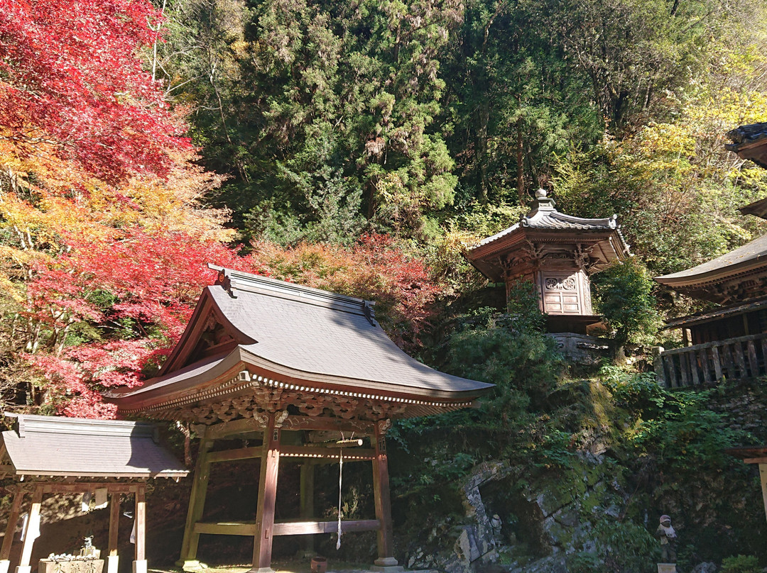 Senryuji Temple-四国中央市必去景点