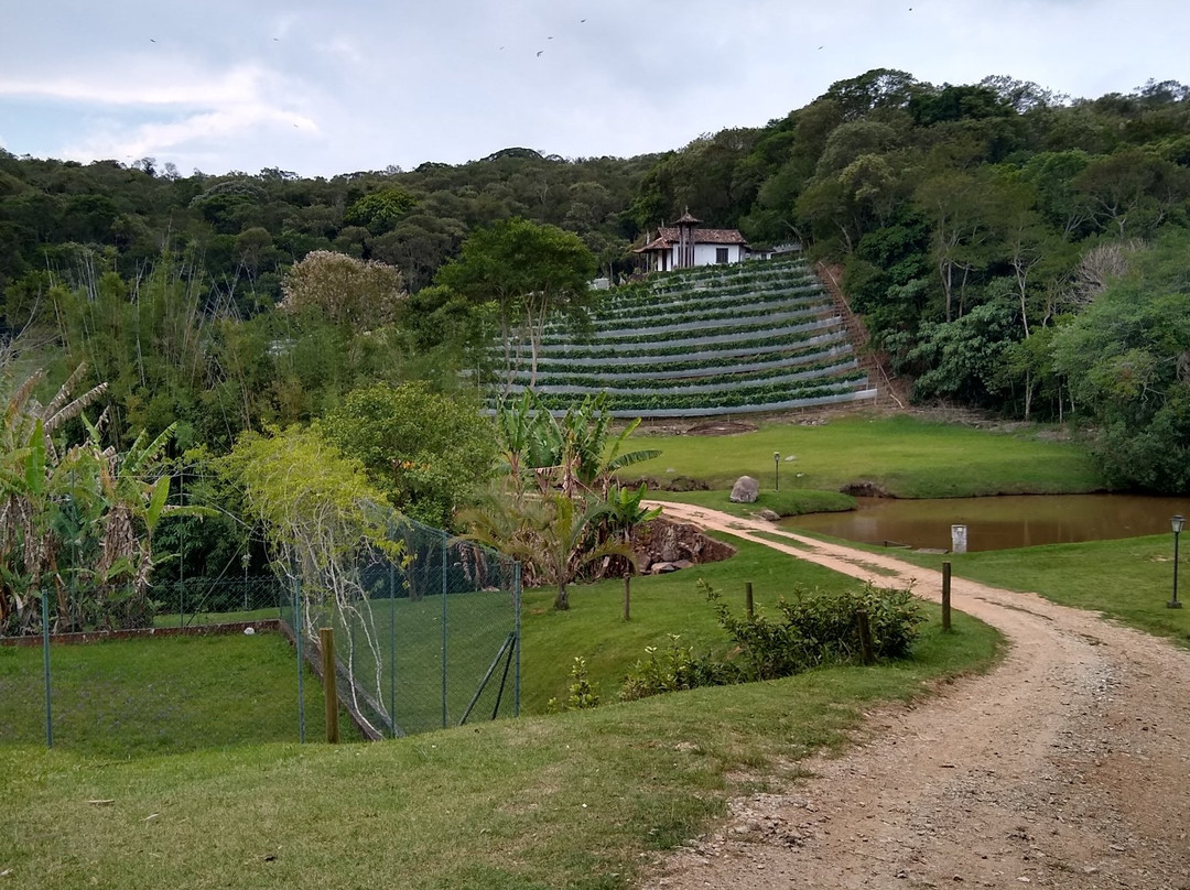 Ferreira & Passero-Sao Roque必去景点