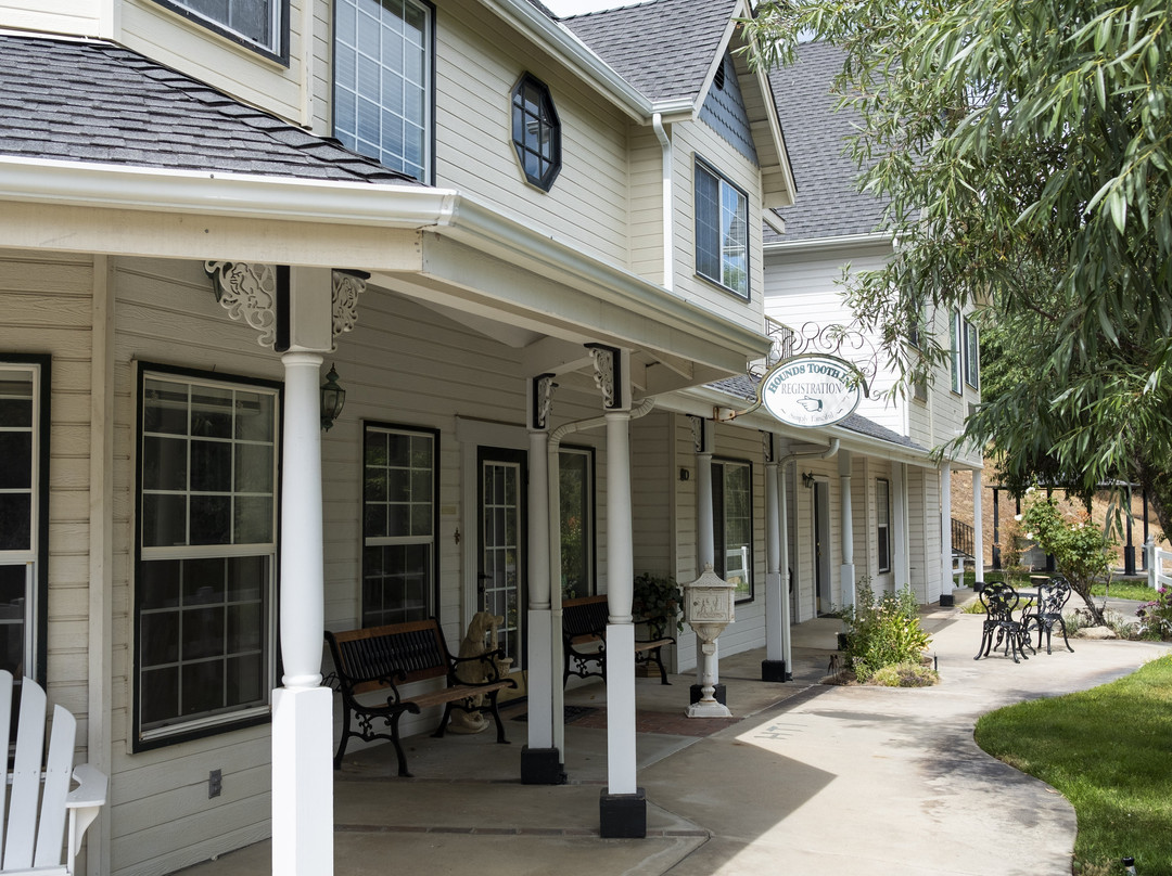 猎犬牙酒店主图