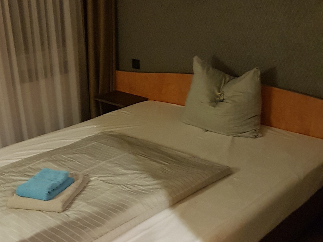 欧洲之星酒店主图