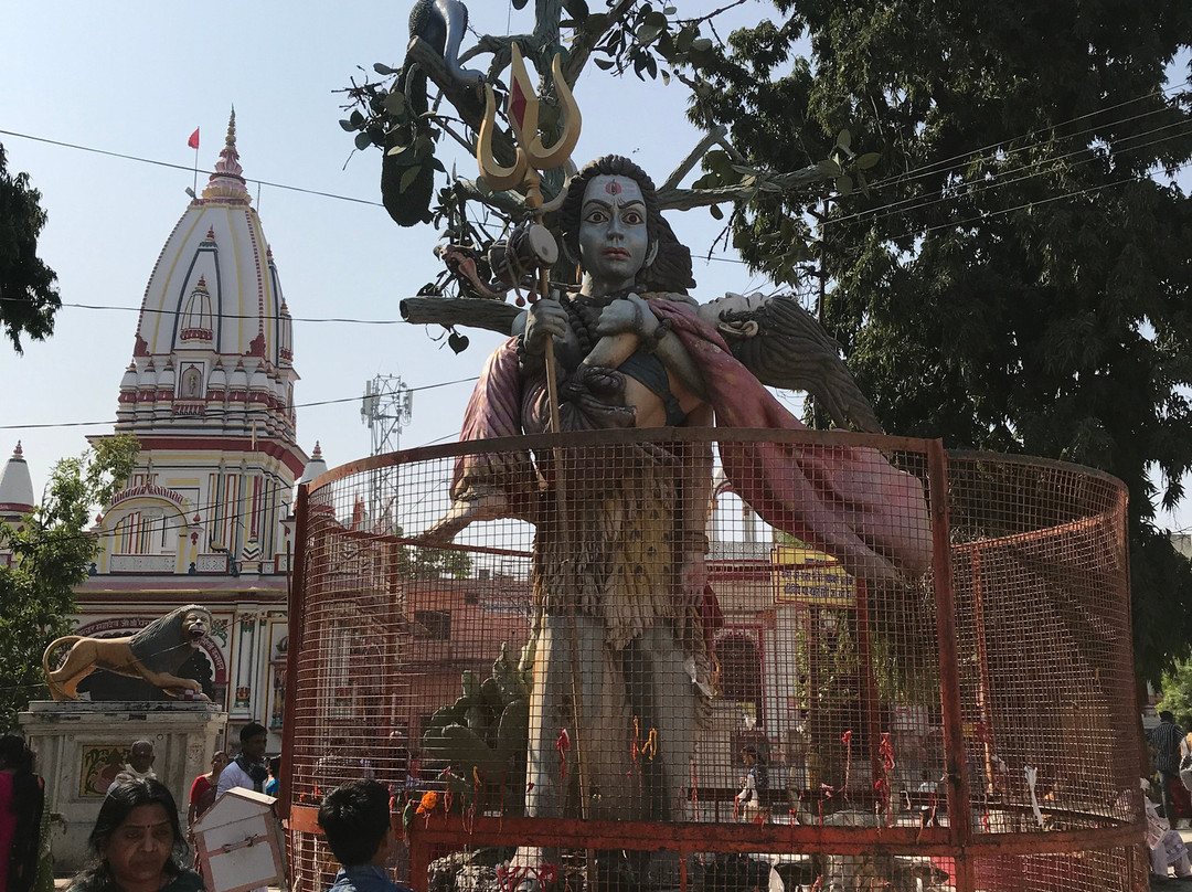 Daksh Mahadev Temple景点图片