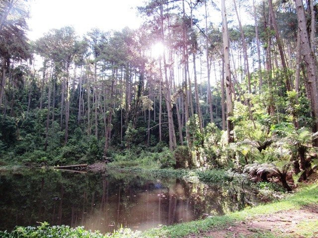 Hotel Fazenda  Itapuá主图