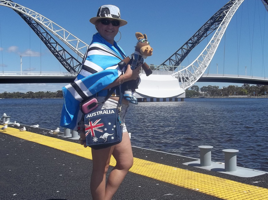 Matagarup Bridge景点图片