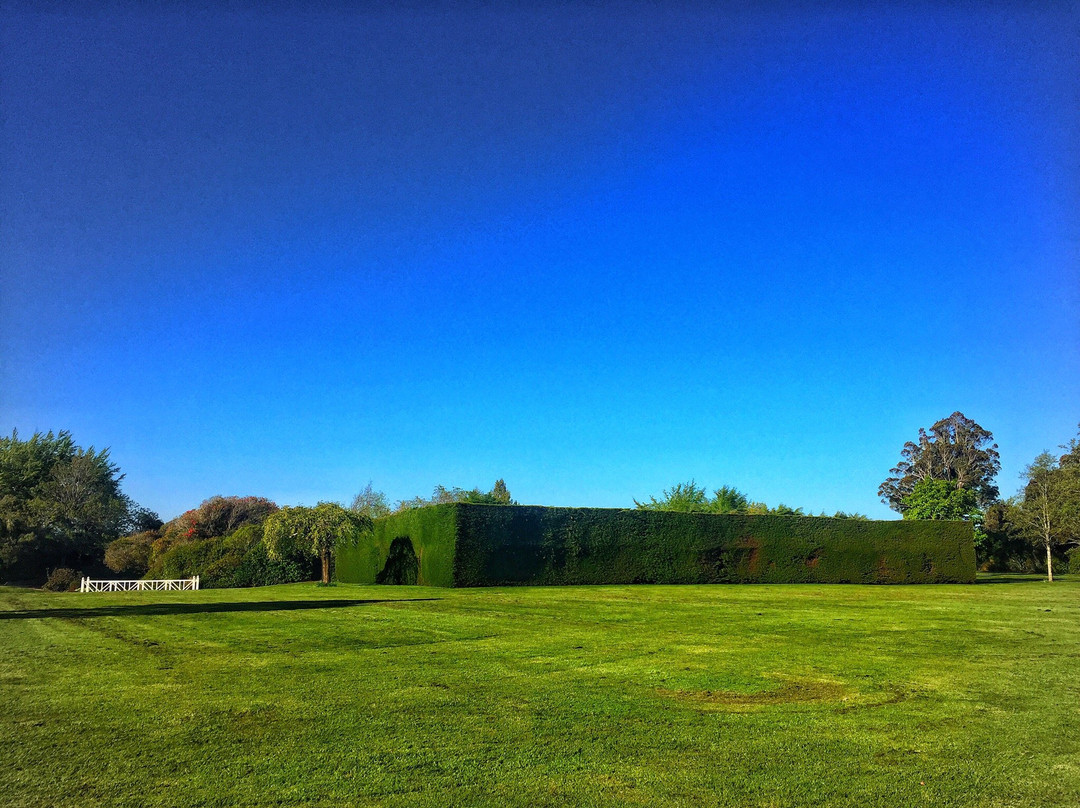 Anderson Park Art Gallery景点图片