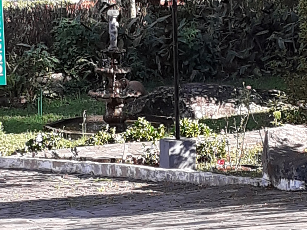 Caparaó Parque Hotel主图