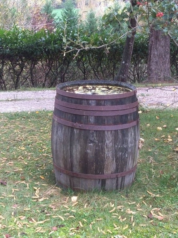 Agriturismo La Chiusa主图