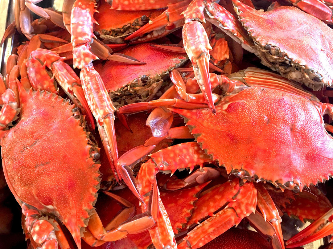 Las Islas Travel and Tours-卡尔斯必去景点