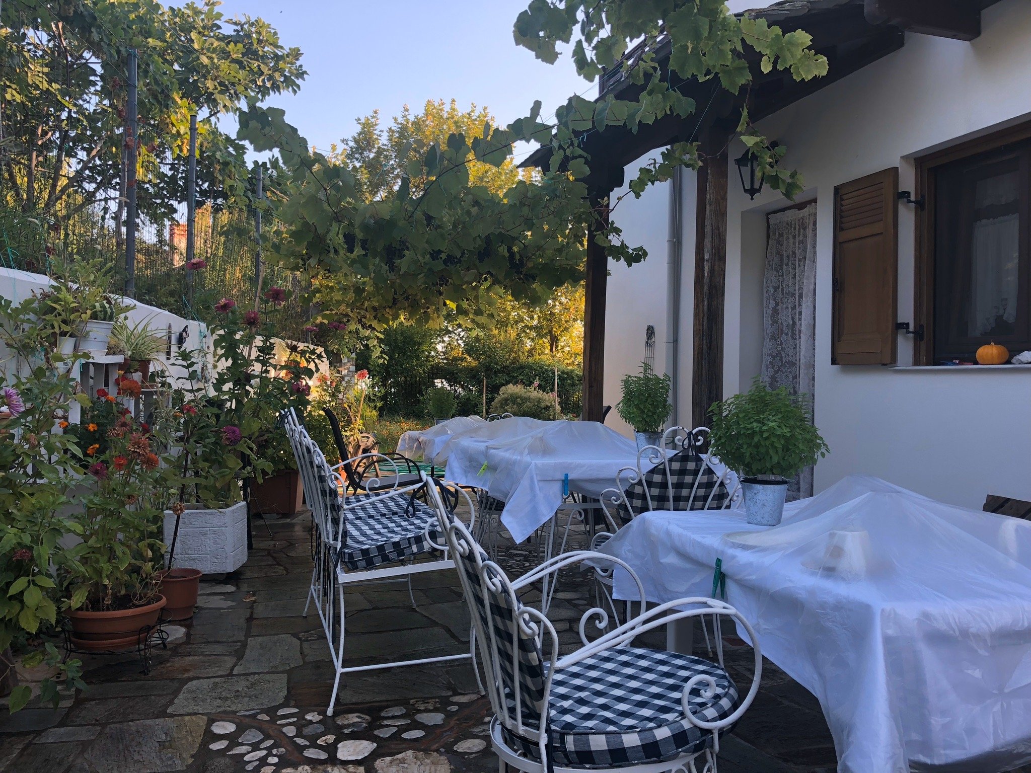 Pension Panos-官方