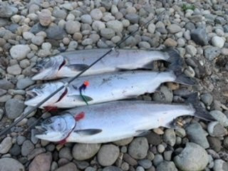 Fish the West With Mike West景点图片