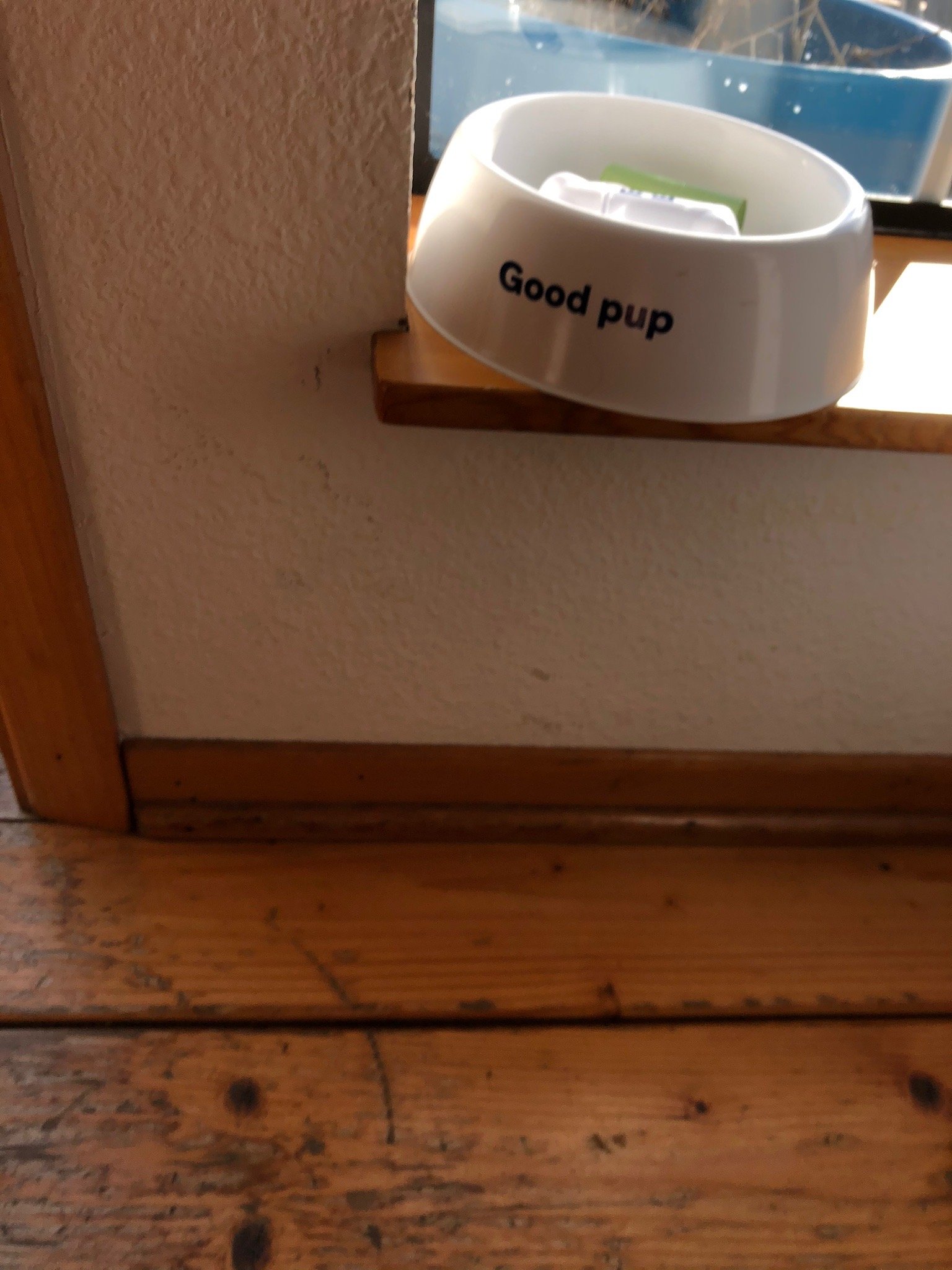 Ocean Cove Inn-官方