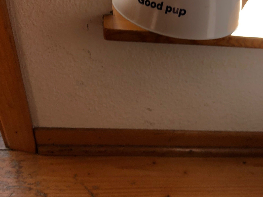 Ocean Cove Inn主图