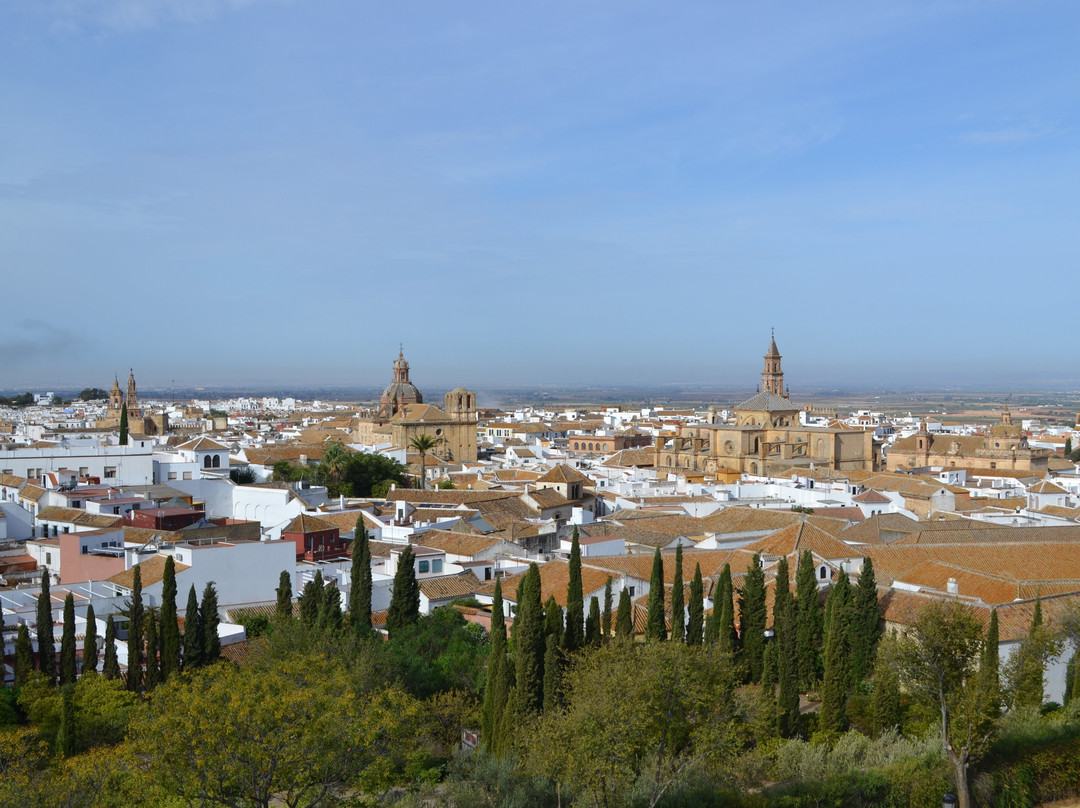 Alcazar de Arriba (Upper Fortress)-卡莫纳必去景点