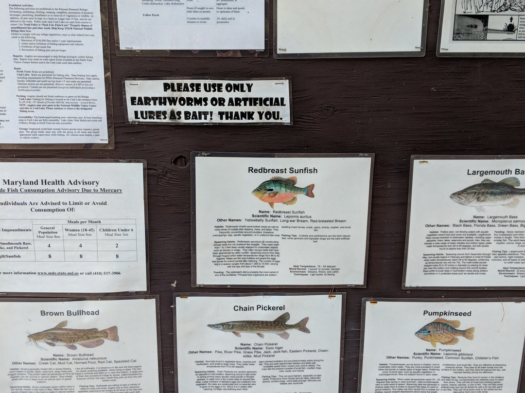 Patuxent Research Refuge - North Tract-Laurel必去景点