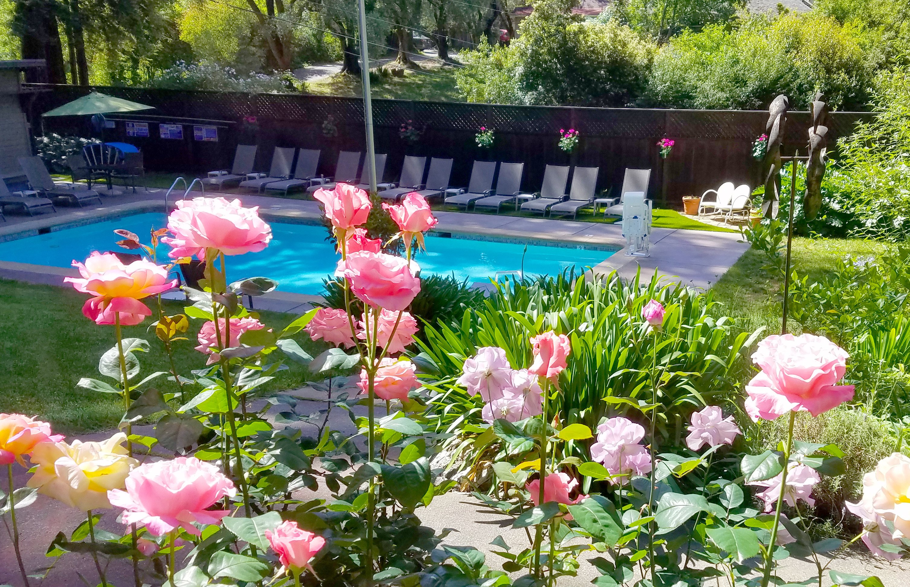 Highlands Resort-官方