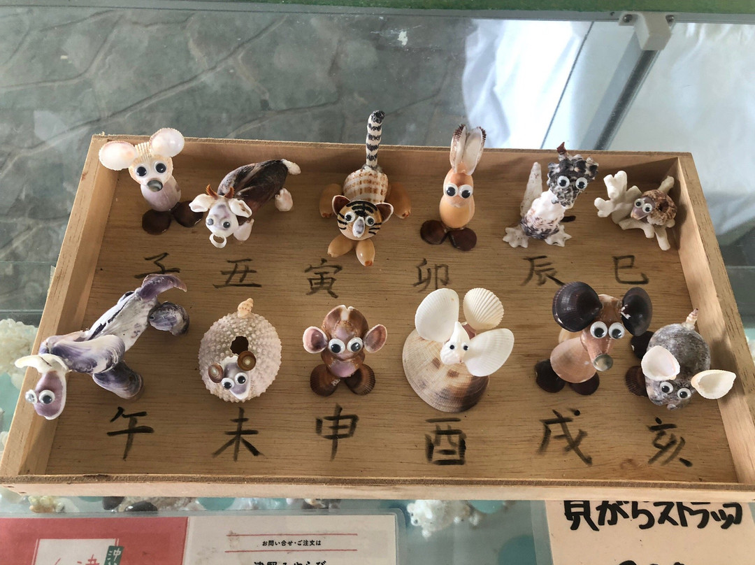 Tsukenjima Island景点图片