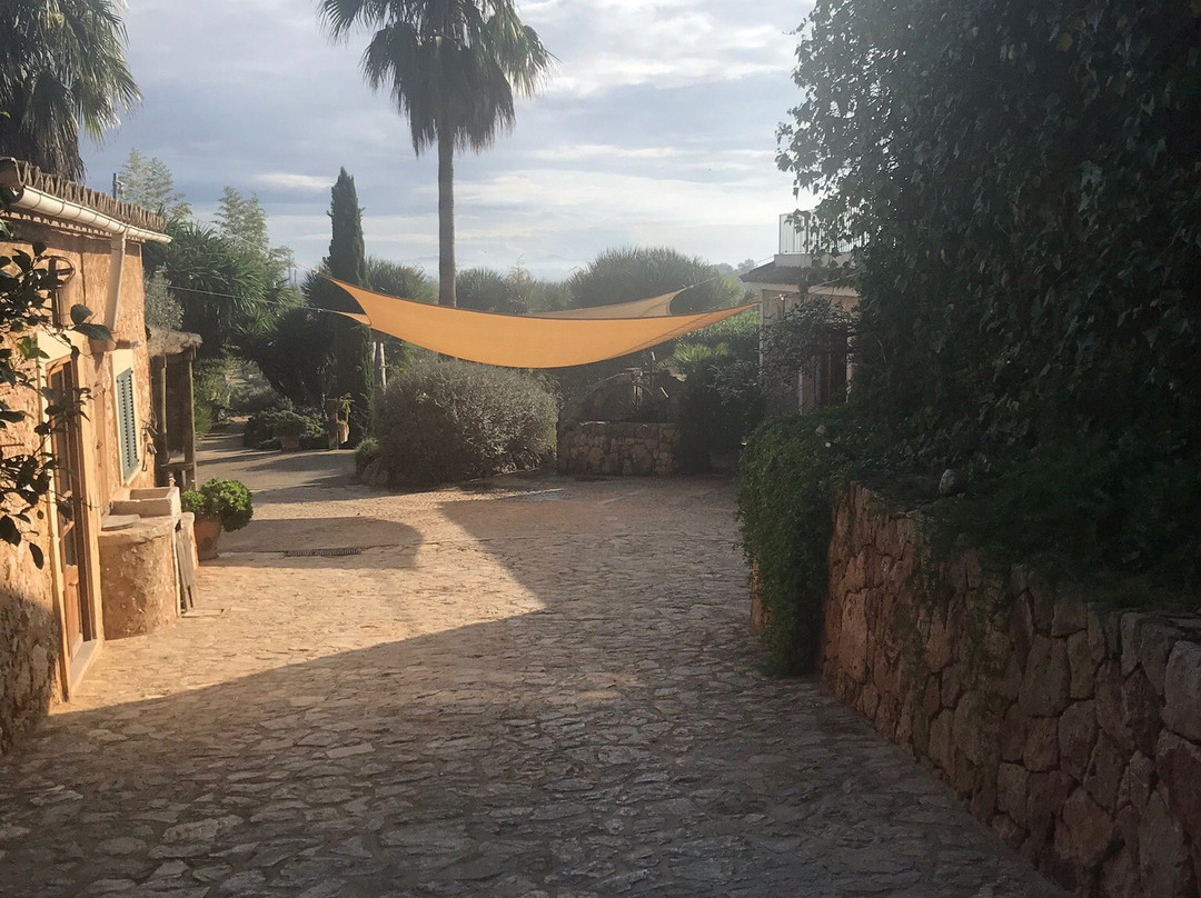 Bodega Ramanya-Santa Maria del Cami必去景点